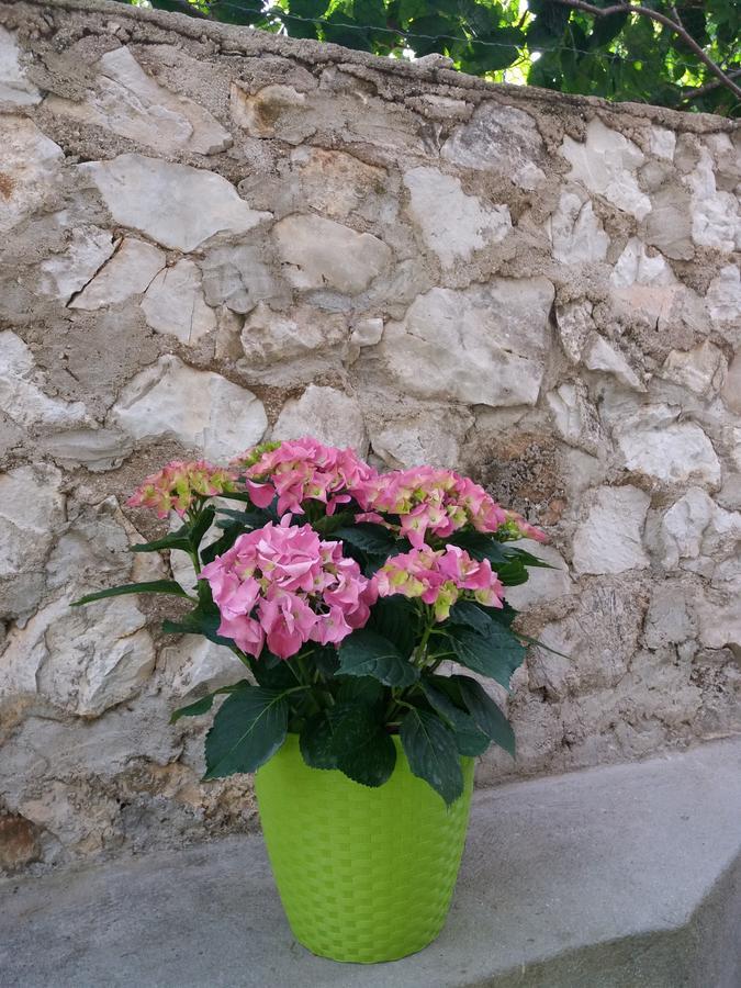 Ema Apartman Trogir