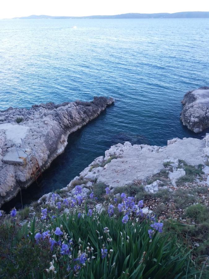 Ema * Trogir